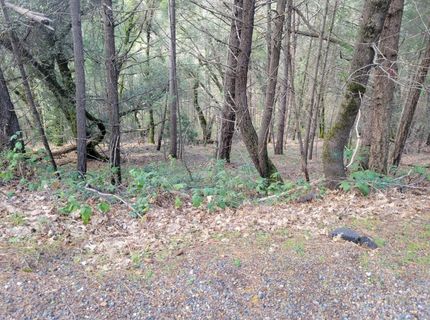 7-acres Canyon Way, Colfax, CA 95713 Photo