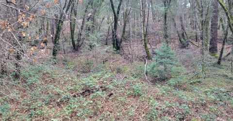 7-acres Canyon Way, Colfax, CA 95713 Photo