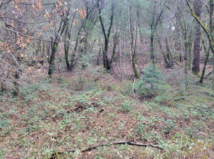 7-acres Canyon Way, Colfax, CA 95713 Photo