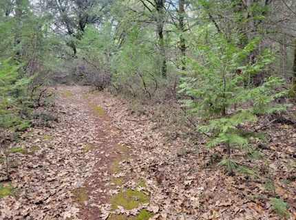 7-acres Canyon Way, Colfax, CA 95713 Photo