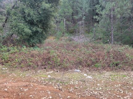 7-acres Canyon Way, Colfax, CA 95713 Photo