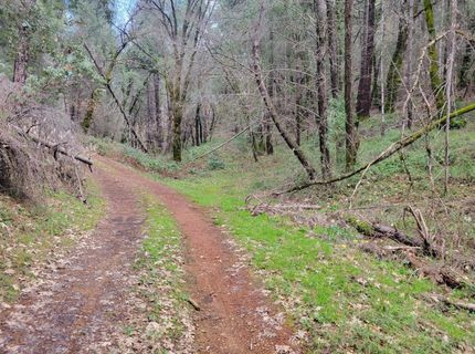 7-acres Canyon Way, Colfax, CA 95713 Photo