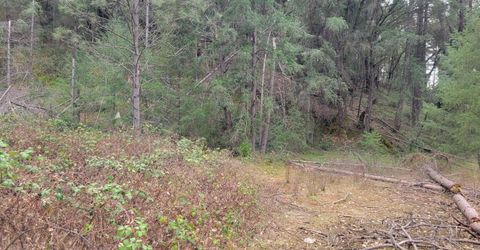 7-acres Canyon Way, Colfax, CA 95713 Photo