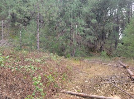 7-acres Canyon Way, Colfax, CA 95713 Photo