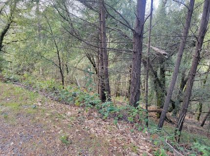 7-acres Canyon Way, Colfax, CA 95713 Photo