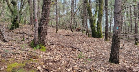 7-acres Canyon Way, Colfax, CA 95713 Photo