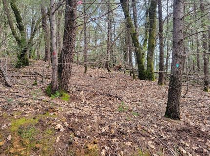 7-acres Canyon Way, Colfax, CA 95713 Photo