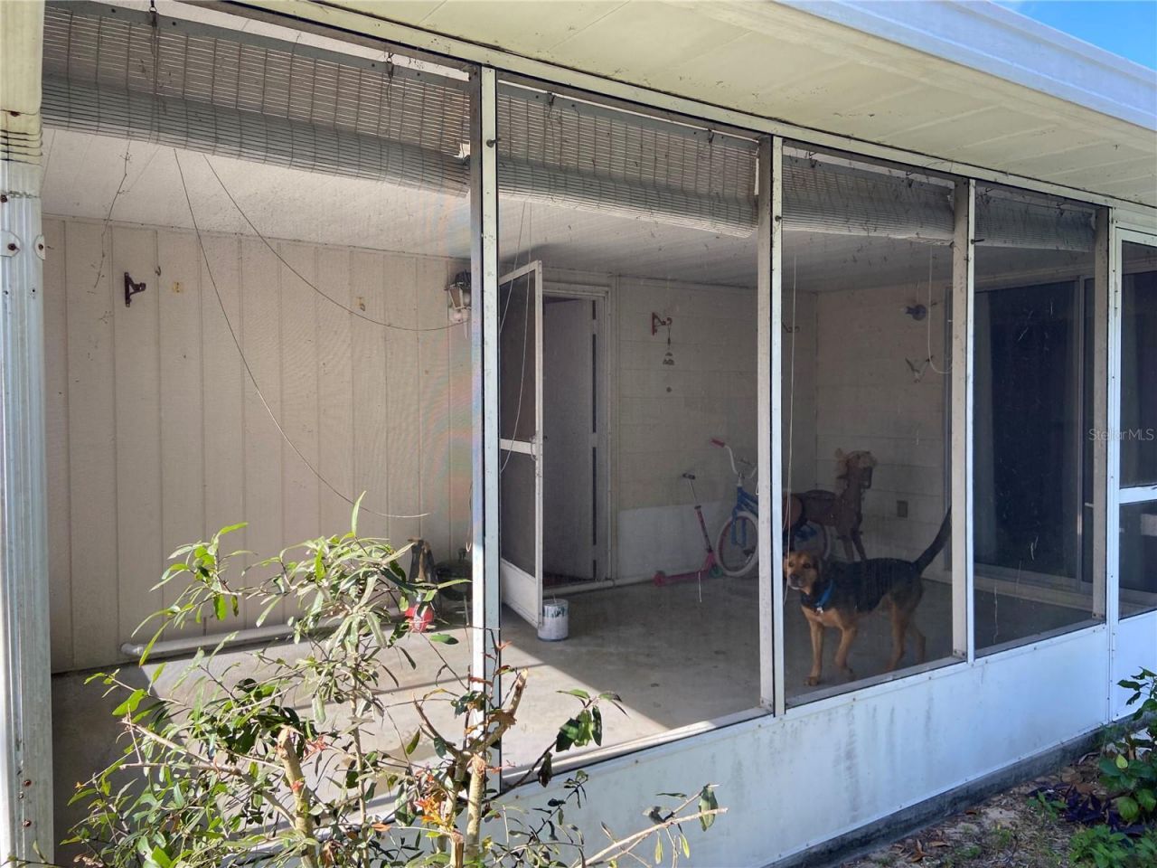 15159 SW 43rd Terrace Rd, Ocala, FL 34473 Photo