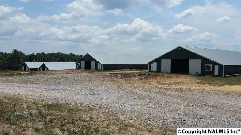 W Blue Pond Blvd, Sylvania, AL 35988 Main Photo