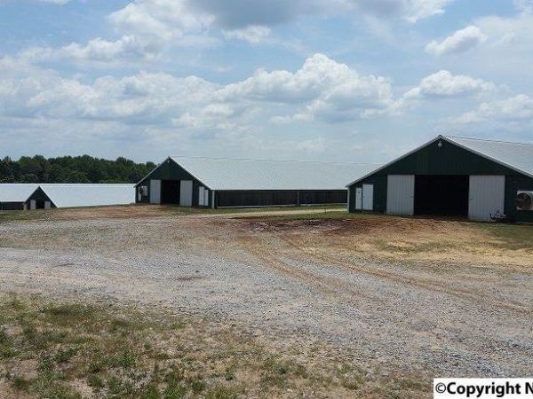 W Blue Pond Blvd, Sylvania, AL 35988