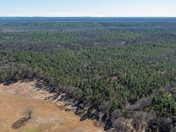 TBD State Highway 64, Ben Wheeler, TX 75754