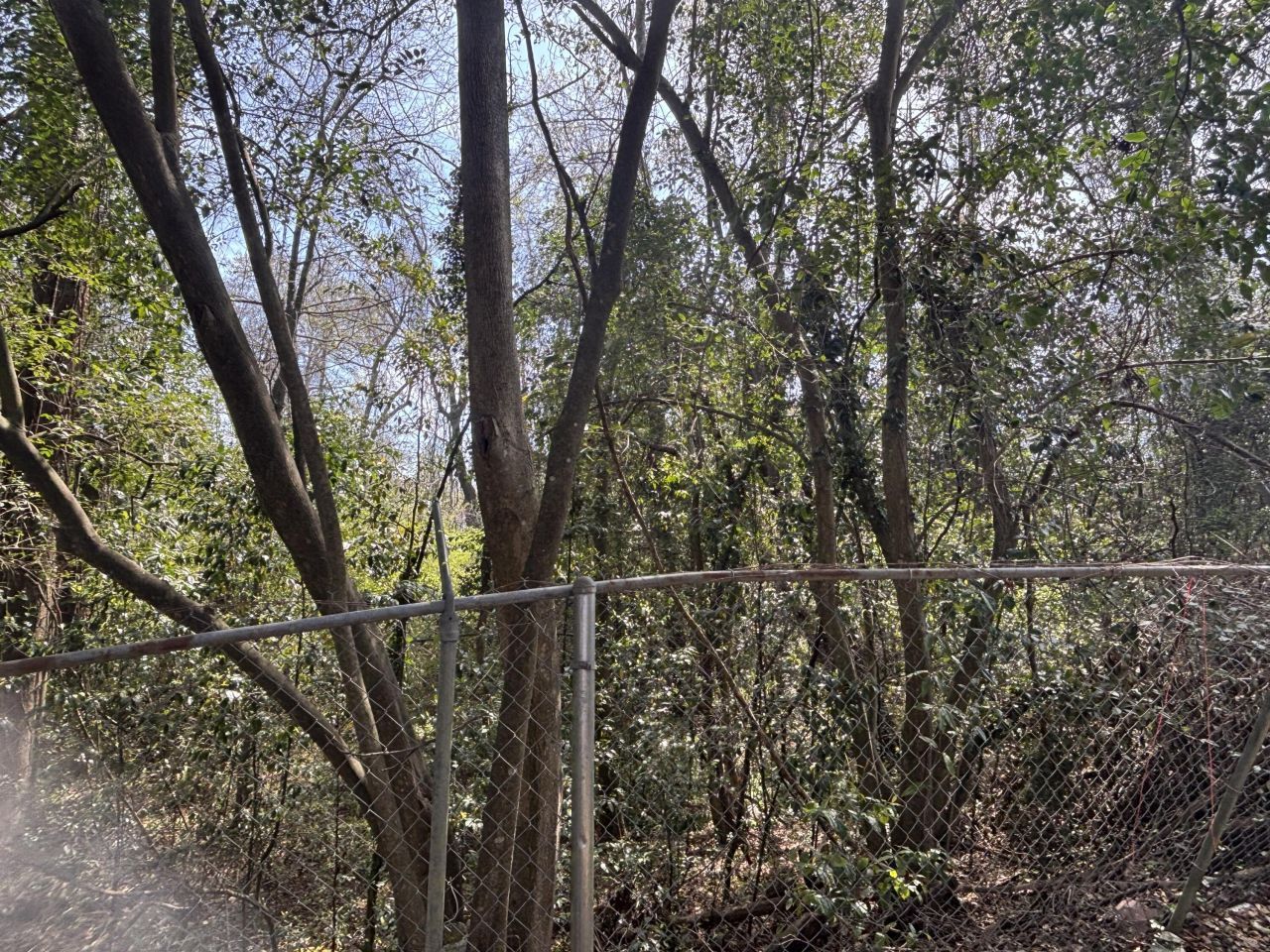 1907 Helm Avenue Photo 35