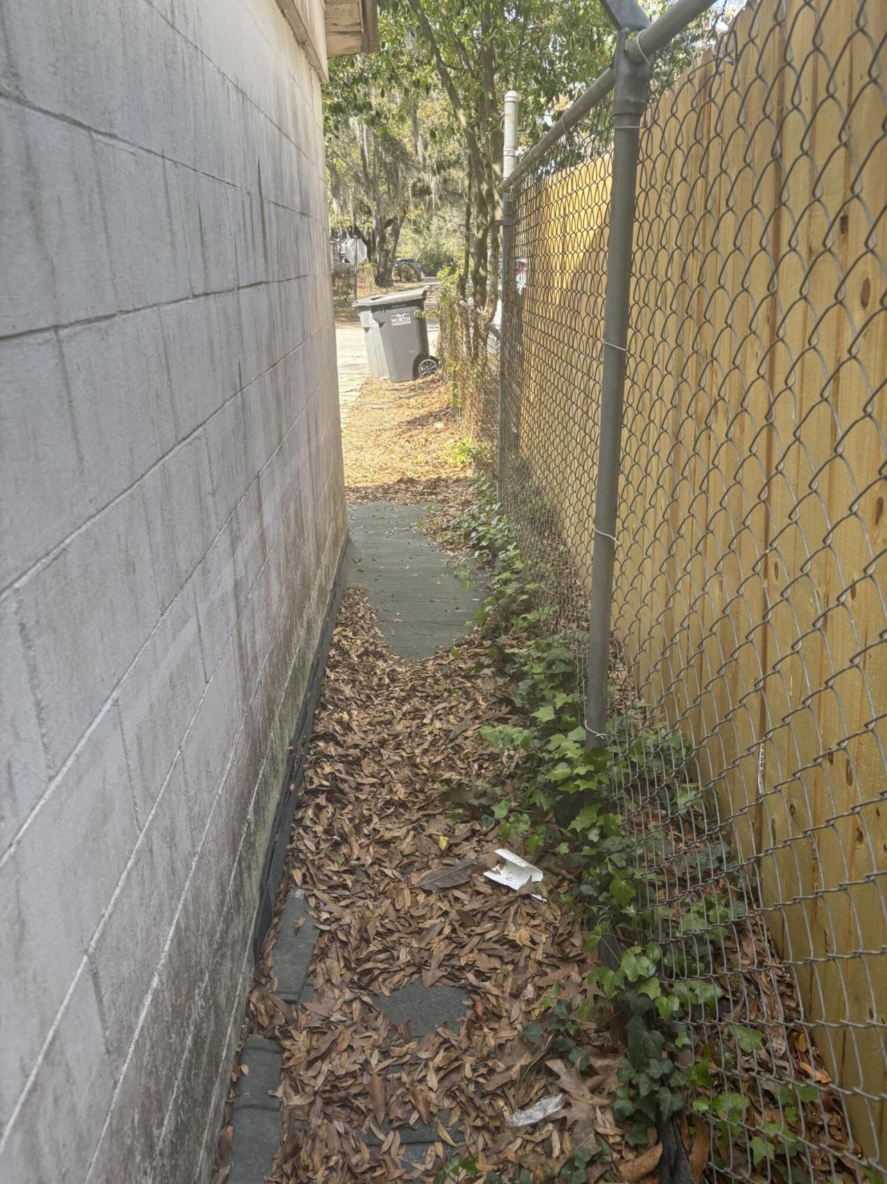 1907 Helm Avenue Photo 7