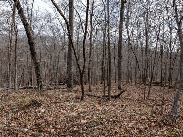 Lot 26, Block 2 Henrietta Lane, Bella Vista, AR 72715