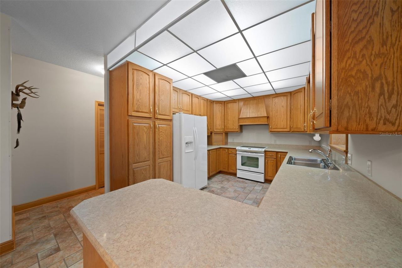 39636 Carolina Avenue, Lady Lake, FL 32159 Photo