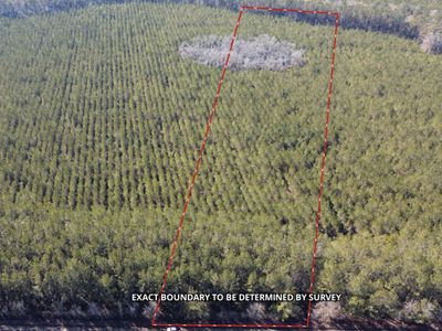 0 Red Oak, Cottageville, SC 29435