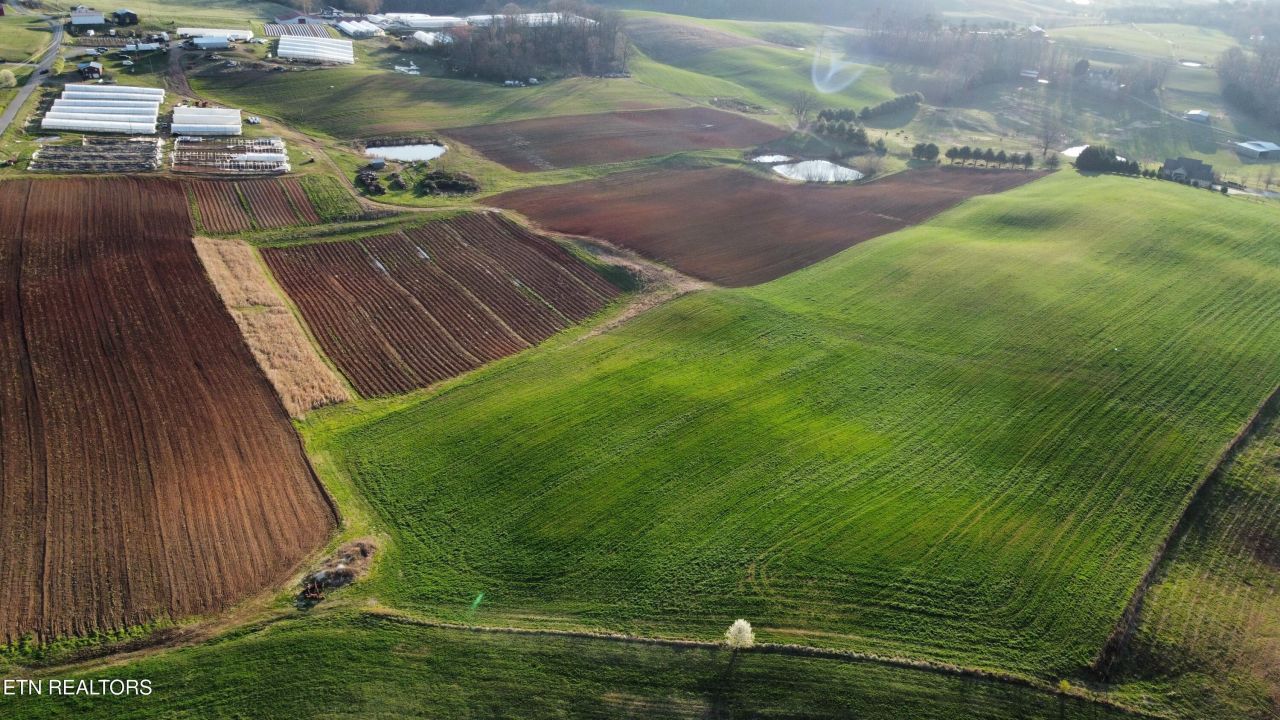 70 Acres+- Perrin Hill Rd, Rutledge, TN 37861 Main Photo