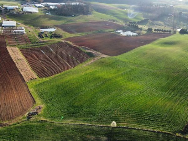 70 acres+- Perrin Hill Rd, Rutledge, TN 37861