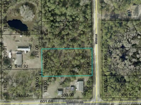 2370 Guava Lane, Bunnell, FL 32110