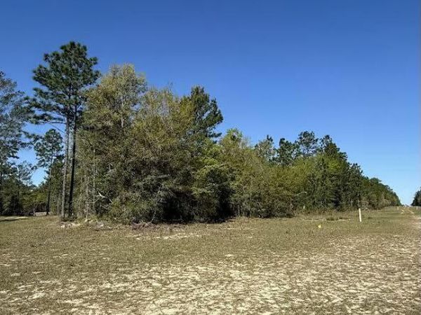 0 MULBERRY Street, Interlachen, FL 32148