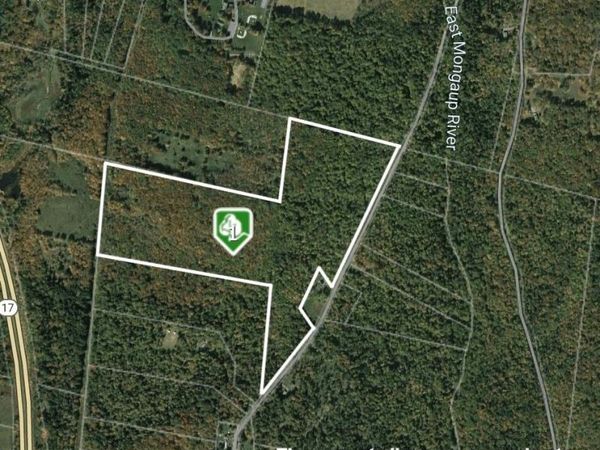 0 Big Woods Road, Harris, NY 12742