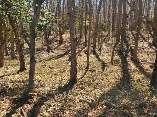 Lot 153 North Independence Drive, MONTROSS, VA 22520