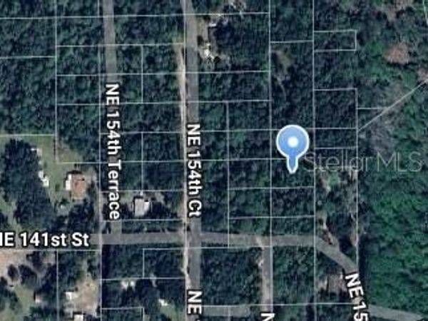NE 153RD COURT, FORT MC COY, FL 32134