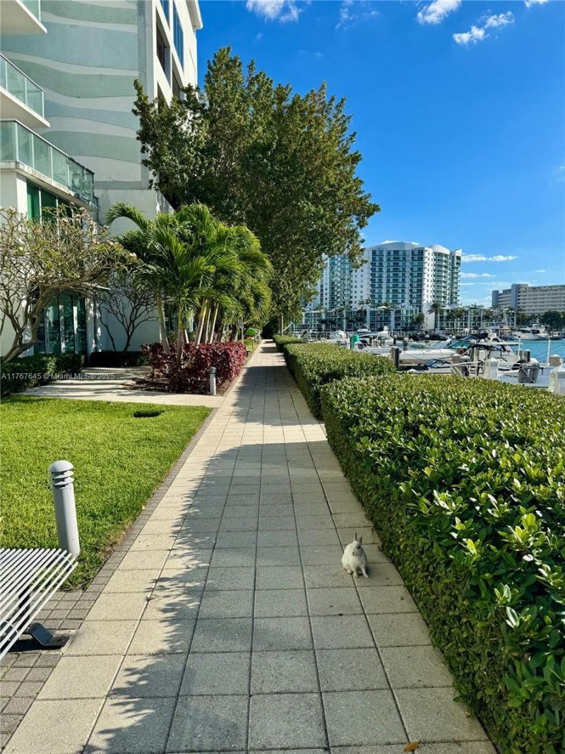 7930 East Dr, Unit 1008, North Bay Village, FL 33141 Photo