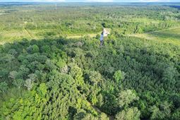 13959 Cottageville Highway photo 4