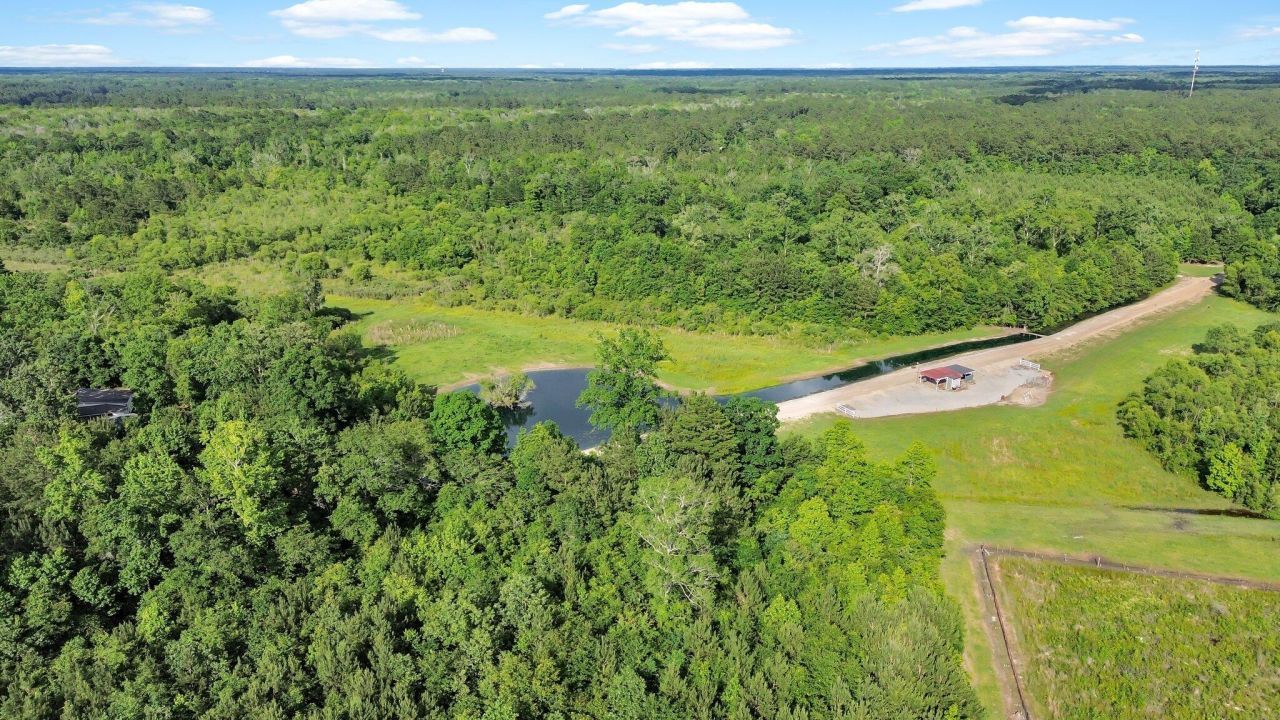 13959 Cottageville Highway Photo 28