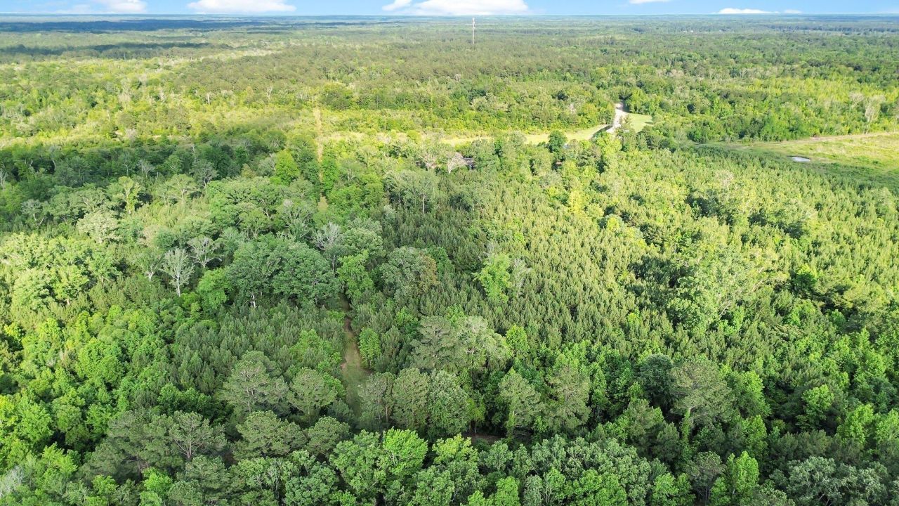 13959 Cottageville Highway Photo 31