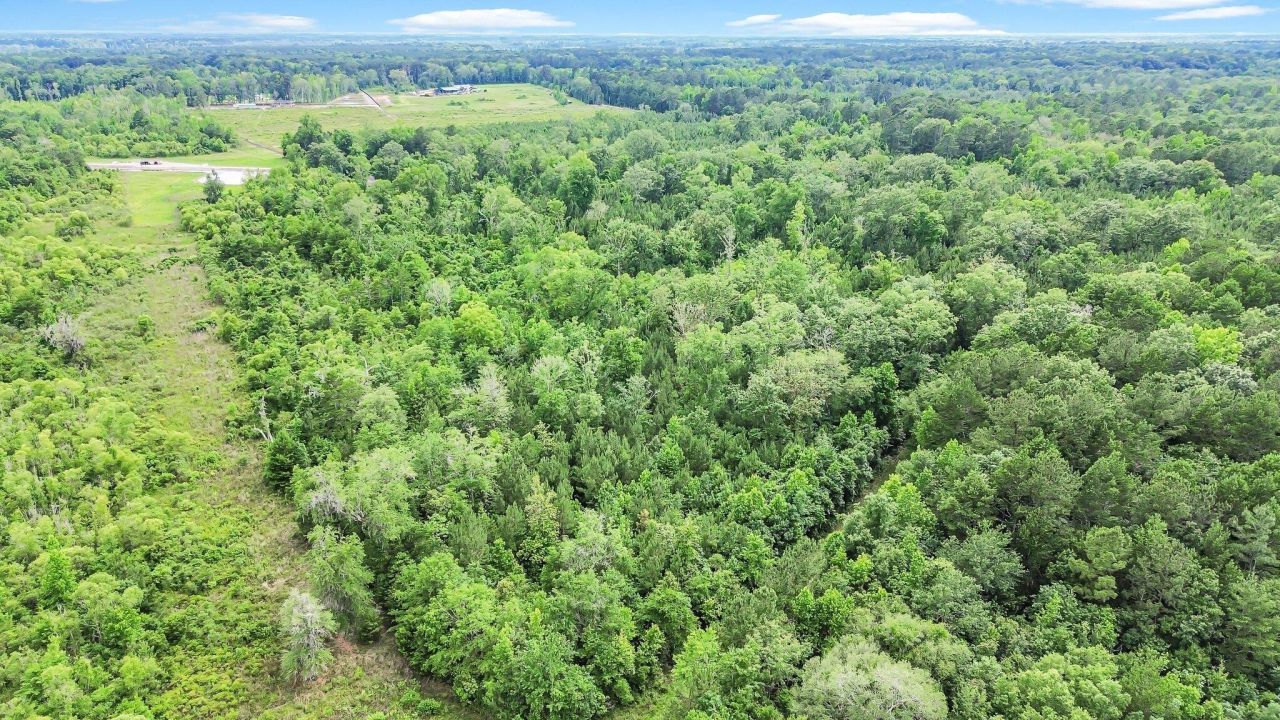 13959 Cottageville Highway Photo 34