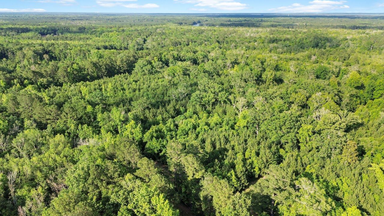 13959 Cottageville Highway Photo 9