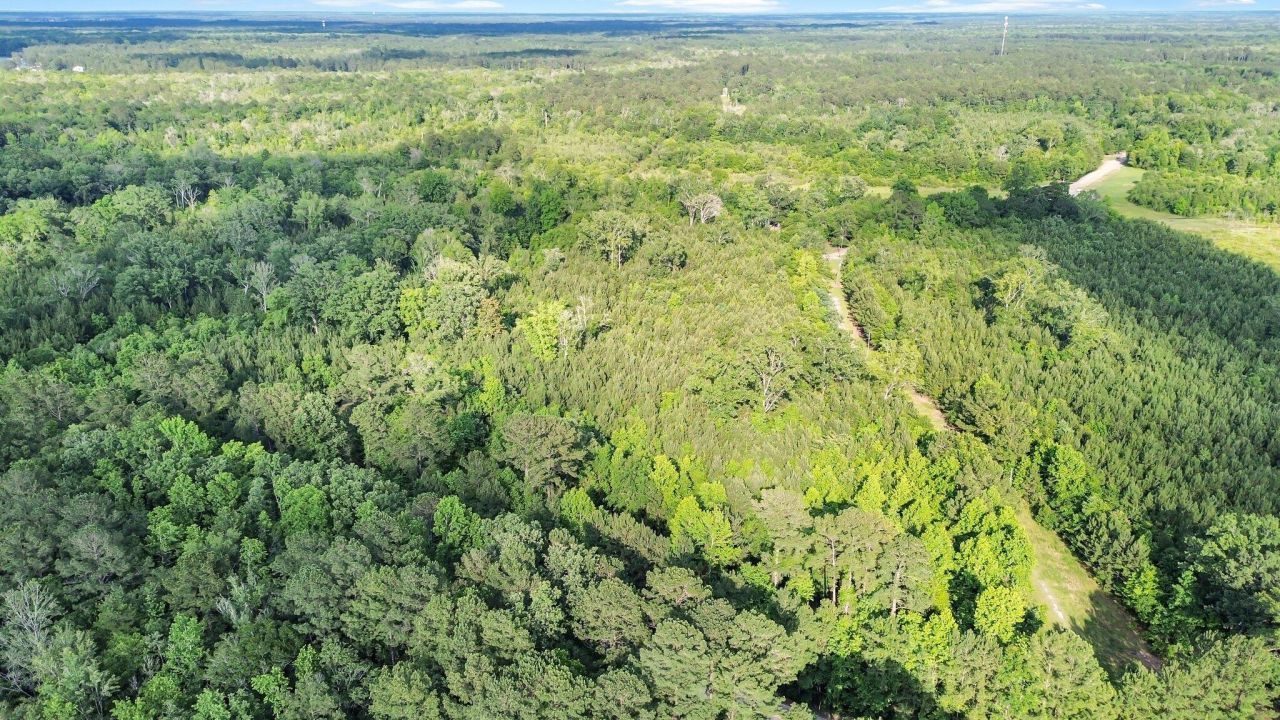 13959 Cottageville Highway Photo 25