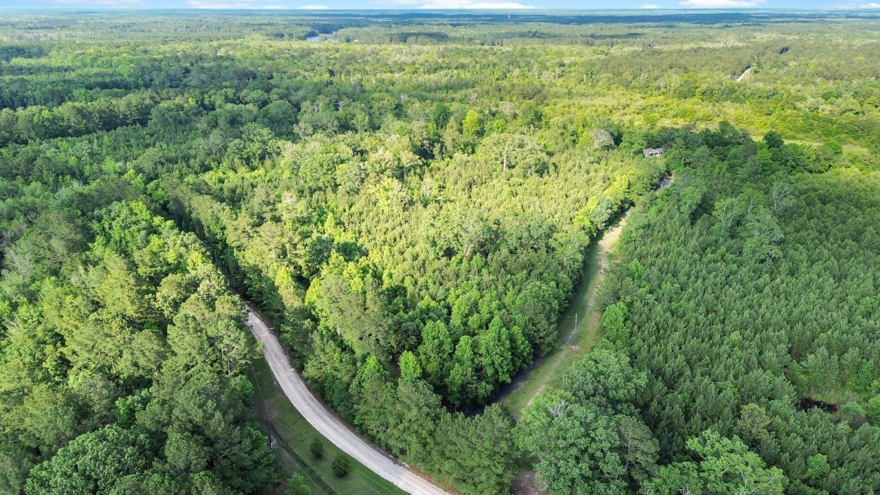 13959 Cottageville Highway Photo 30