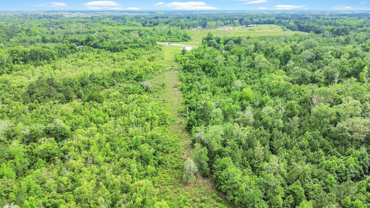 13959 Cottageville Highway Photo 36