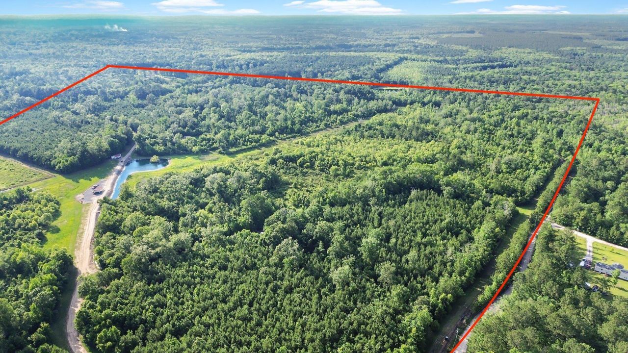 13959 Cottageville Highway Photo 54