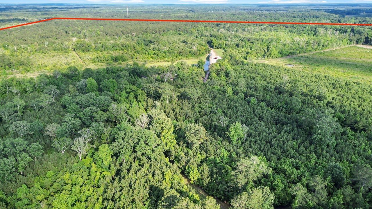 13959 Cottageville Highway Photo 58