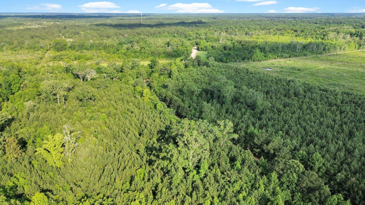 13959 Cottageville Highway Photo 8