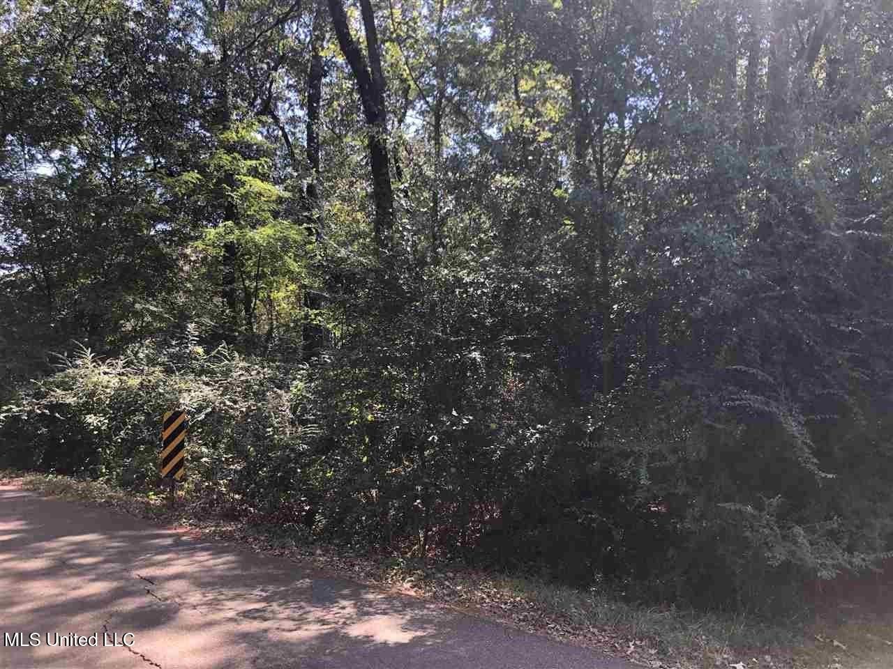 0 W Washington Street, Ridgeland, MS 39157 Main Photo