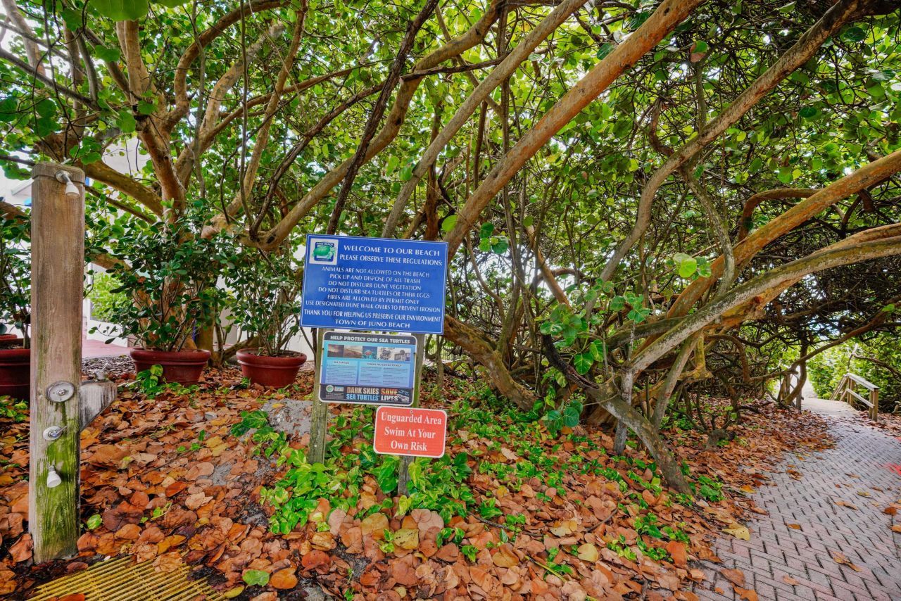 911 Ocean Drive, Unit 506, Juno Beach, FL 33408 Photo