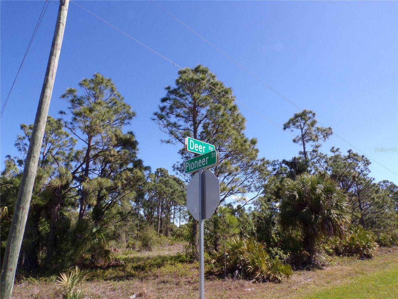 26272 Deer Road, Punta Gorda, FL 33955 Photo