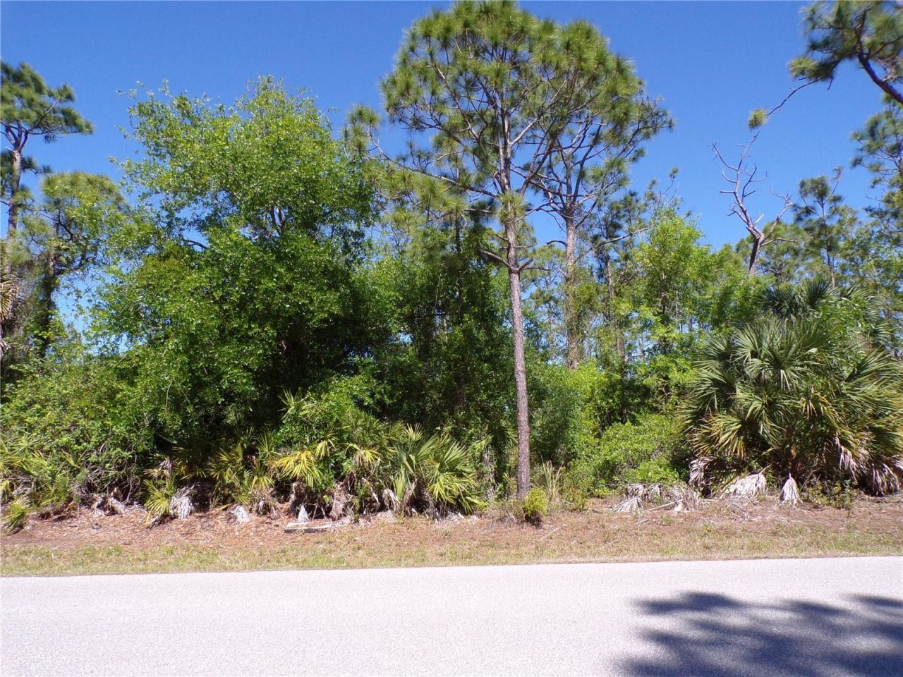 11383 10th Avenue, Punta Gorda, FL 33955 Photo