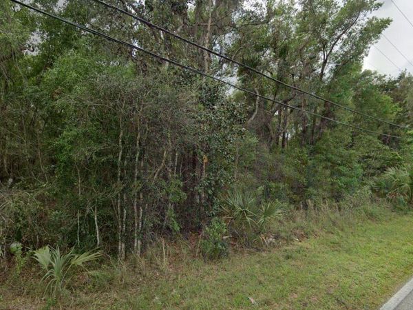 REYNOLDS ROAD, DE LEON SPRINGS, FL 32130