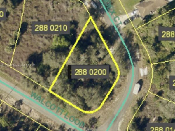 1915 index Court, Lehigh Acres, FL 33972