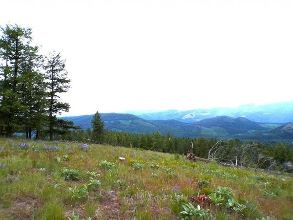 #B Vista View Ln, Inchelium, WA 99141