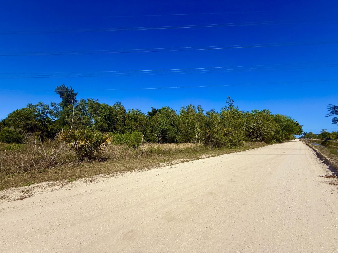13217 62, The Acreage, FL 33412 Photo