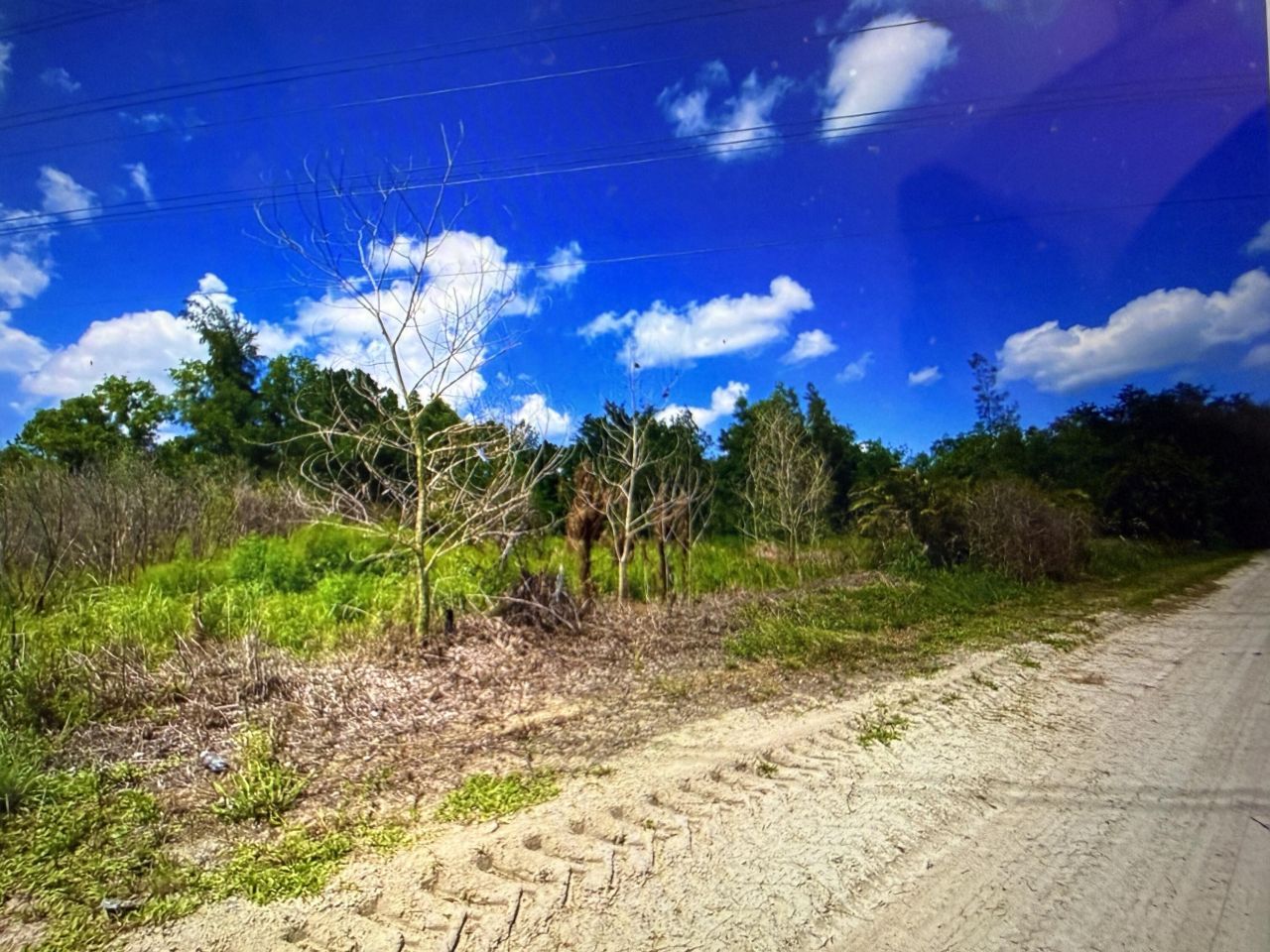 13217 62, The Acreage, FL 33412 Photo