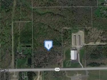 Clinton Street, Elma, NY 14059