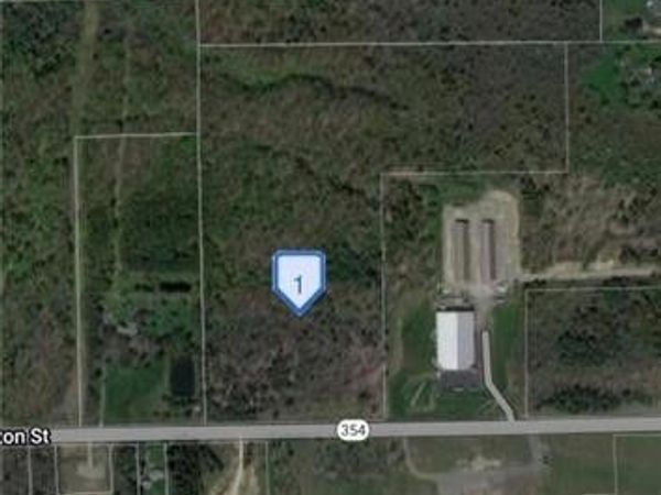 Clinton Street, Elma, NY 14059